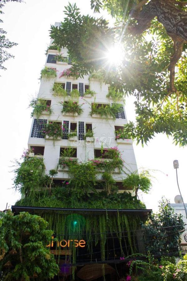 Seahorse Tropical Apartment Da Nang Exterior foto